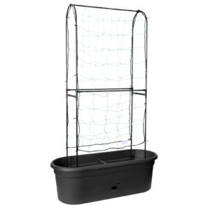 Vaso per rampicanti Green basics