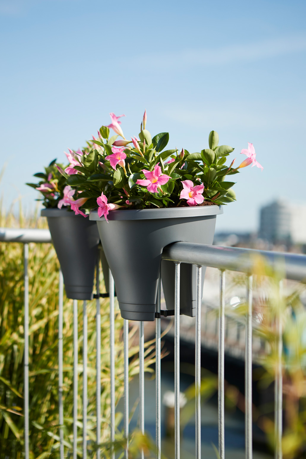 Fioriera da balcone Corsica 30 cm - immagine 4