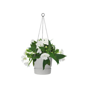 Greenville hanging basket d 24cm + gancio
