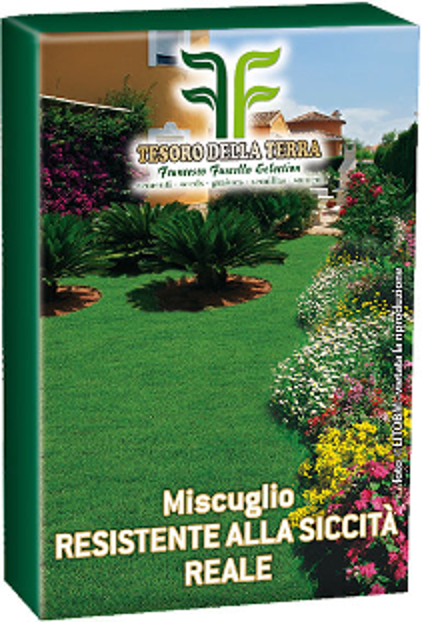 Semi per prato resistente alla siccità 1 kg