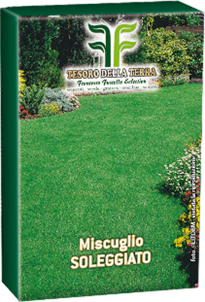 Semi per prato pieno sole- 1kg