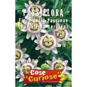 Semi di passiflora - fiore della passione