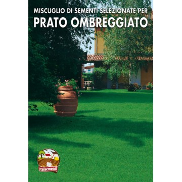 Semi per prato ombra sottobosco 5 kg