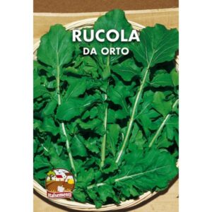 Semi di rucola da orto
