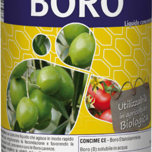 Boro - migliora produzione di frutta e ortaggi
