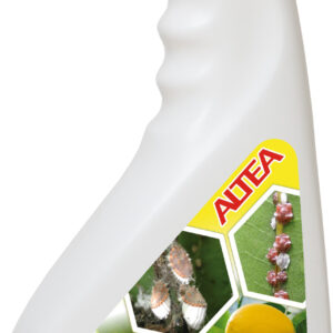 Olio di lino contro insetti e cocciniglie