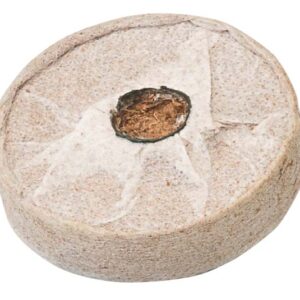 Pastiglie in fibra di cocco 12 pz
