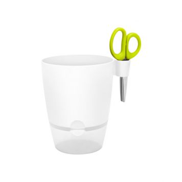 Vaso per aromatiche da cucina - brussels herbs - immagine 2