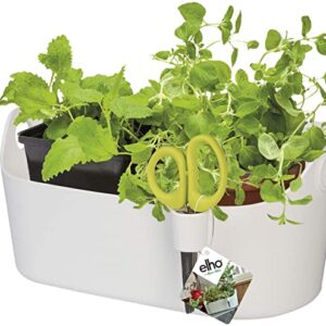 Brussels herb station con forbici per aromatiche
