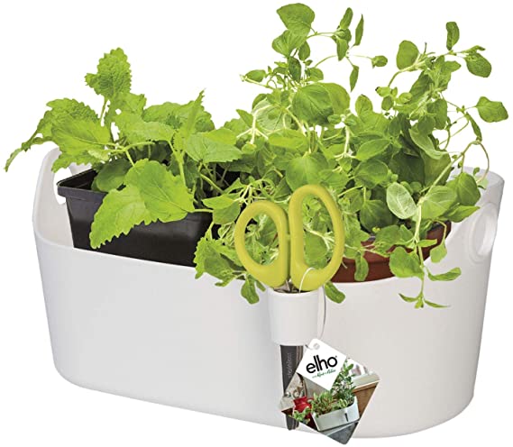 Brussels herb station con forbici per aromatiche