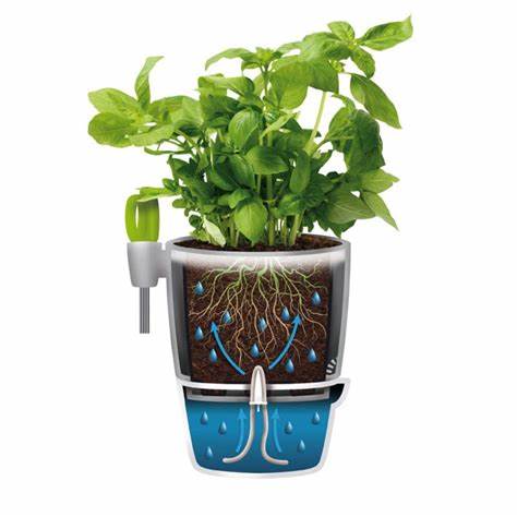 Vaso per aromatiche da cucina - brussels herbs - immagine 3