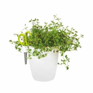 Vaso per aromatiche da cucina - brussels herbs