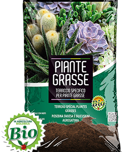 Terriccio per piante grasse 10 litri